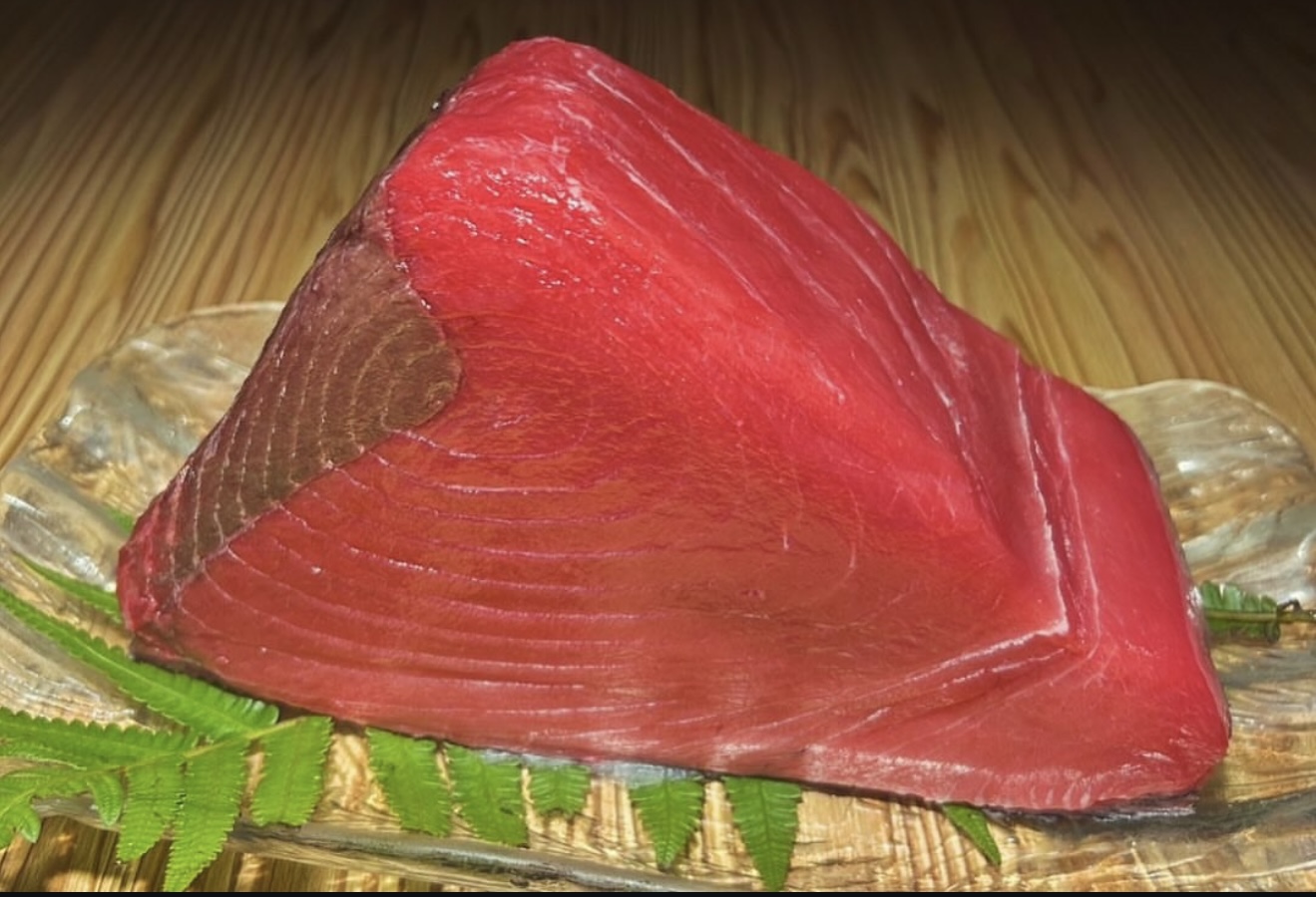 本鮪