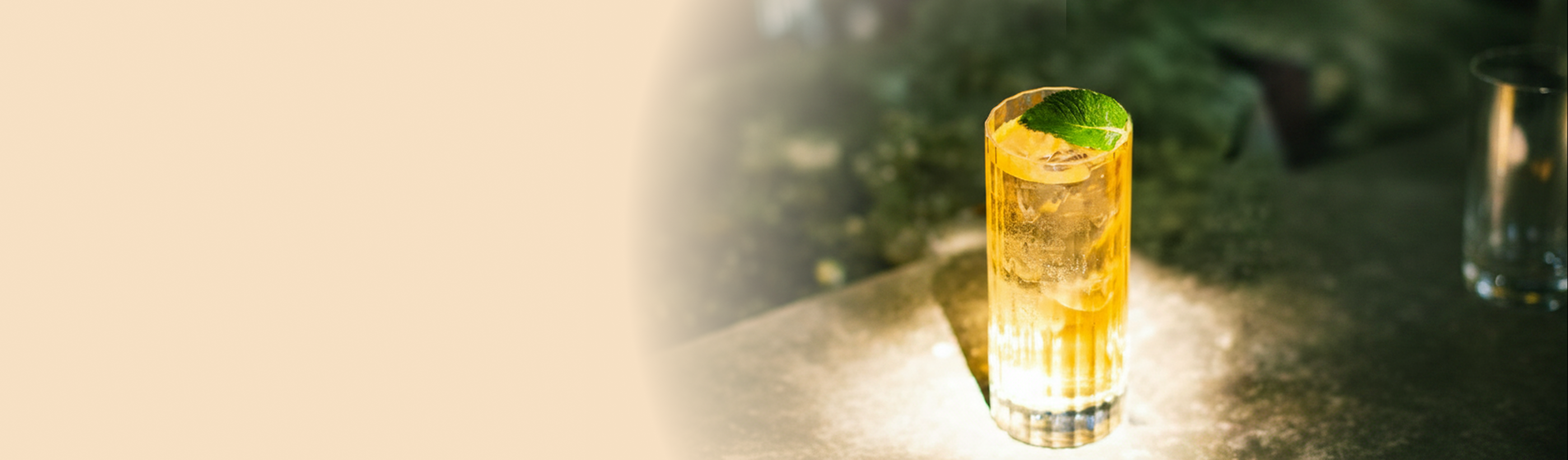 みやきハイボール