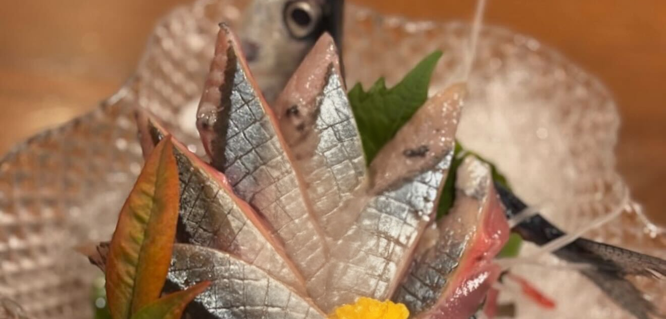 創造ダイニングみやきの鮮魚料理